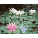  Озеро с лотосами Раскраска картина по номерам на холсте  KTMK-36303