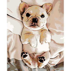  Ласковый щенок Раскраска картина по номерам на холсте Z-z4742