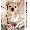Раскладка Ласковый щенок Раскраска картина по номерам на холсте Z-z4742
