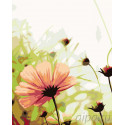  Нежность цветка Раскраска картина по номерам на холсте KTMK-69536