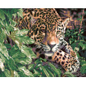 Леопард в зарослях Раскраска картина по номерам на холсте
