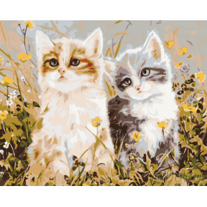 Раскладка Котята на лугу Раскраска картина по номерам на холсте KTMK-393604