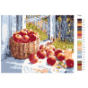 Раскладка Летние яблоки Раскраска картина по номерам на холсте KTMK-77993