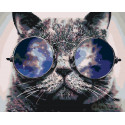 Стильный кот Раскраска по номерам на холсте Живопись по номерам