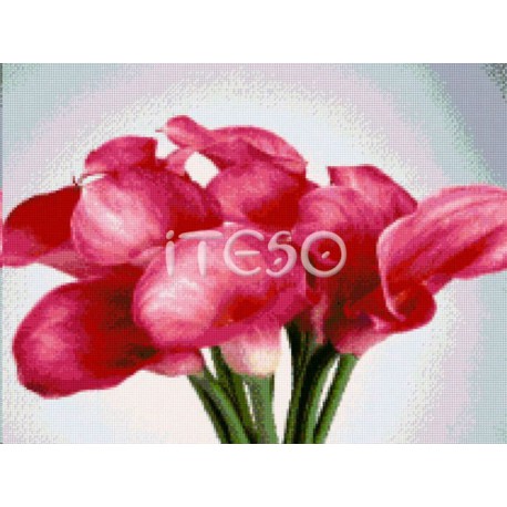 Розовые каллы Алмазная вышивка (мозаика) Iteso
