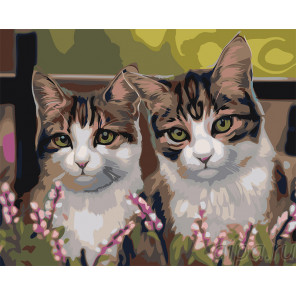 Раскладка Трехцветные котики Раскраска по номерам на холсте Живопись по номерам Z-AB16