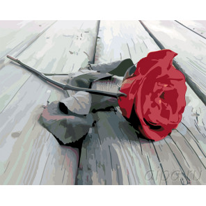  Красная роза на сером Раскраска картина по номерам на холсте KTMK-2474861