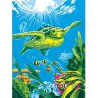 Морская черепаха Раскраска (картина) по номерам акриловыми красками Dimensions