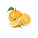 Сочный апельсин Раскраска по номерам на холсте Живопись по номерам