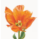 Оранжевый тюльпан Триумф Набор для вышивания Thea Gouverneur