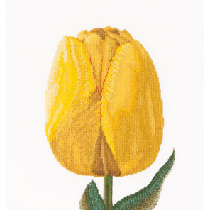  Желтый тюльпан Набор для вышивания Thea Gouverneur 522