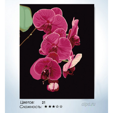 Количество цветов и сложность Утонченность орхидеи Раскраска по номерам на холсте Hobbart HB4050065-LITE
