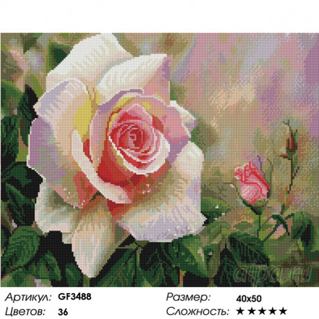 Количество цветов и сложность Садовая роза вышивка Алмазная мозаика вышивка Painting Diamond GF3488