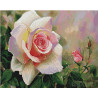  Садовая роза вышивка Алмазная мозаика вышивка Painting Diamond GF3488