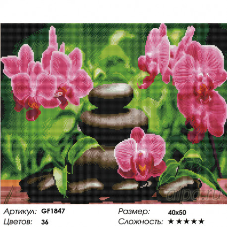 Количество цветов и сложность Гармония орхидеи вышивка Алмазная мозаика вышивка Painting Diamond GF1847