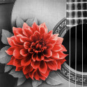 Цветок на гитаре Алмазная вышивка мозаика