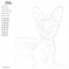 Контрольный лист Египетская кошка Раскраска картина по номерам на холсте Z-AB135-80x100