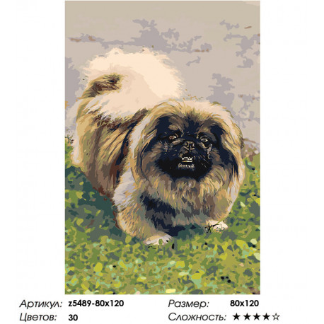 Сложность и количество цветов Собака на лужайке Раскраска картина по номерам на холсте z5489-80x120