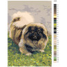 Макет Собака на лужайке Раскраска картина по номерам на холсте z5489-80x120