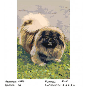 Макет Собака на лужайке Раскраска картина по номерам на холсте z5489