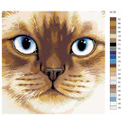 Схема Сиамская кошка Раскраска картина по номерам на холсте A110