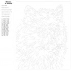 Схема Радужный волк Раскраска картина по номерам на холсте PA05