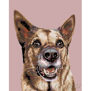 Схема Служебный пес Раскраска по номерам на холсте Живопись по номерам A223