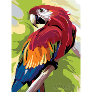  Говорящий попугай Раскраска по номерам на холсте Живопись по номерам A353