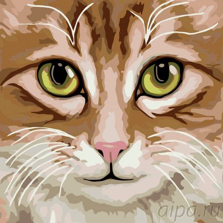  Кошка Люся Раскраска по номерам на холсте Живопись по номерам A396