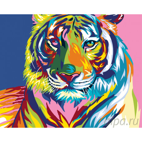  Радужная голова тигра Раскраска по номерам на холсте Живопись по номерам PA120