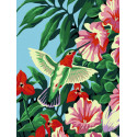 Колибри и цветы Раскраска по номерам на холсте Живопись по номерам