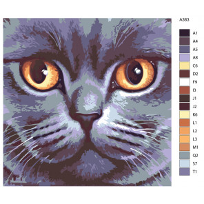 Схема Кошачья мордочка Раскраска по номерам на холсте Живопись по номерам A383