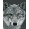  Серый волк Раскраска по номерам на холсте Живопись по номерам KTMK-351313