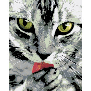 раскладка Чистоплотный котик Раскраска по номерам на холсте Живопись по номерам