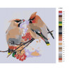 Раскладка На ветке рябины Раскраска по номерам на холсте Живопись по номерам Z-AB1