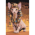 Кот фараона Раскраска картина по номерам на холсте