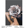 Сложность и количество цветов Роза-шляпка Раскраска картина по номерам на холсте Z-AB191-80x120