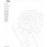 Контрольный лист Роза-шляпка Раскраска картина по номерам на холсте Z-AB191-80x120