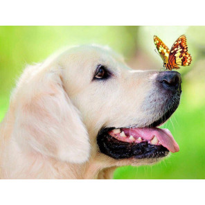  Пёс и бабочка алмазная мозаика на подрамнике LE093