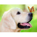 Пёс и бабочка Алмазная мозаика на подрамнике