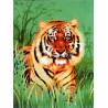 Тигр в траве Канва жесткая с рисунком для вышивки Gobelin L