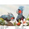 Сложность и количество цветов Попугаи Раскраска картина по номерам на холсте KH0344