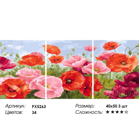 Сложность и количество цветов Маки Триптих Раскраска картина по номерам на холсте PX5263