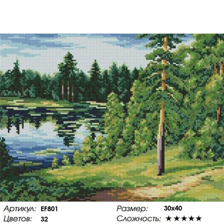 Сложность и количество цветов Лесное озеро Алмазная мозаика вышивка на подрамнике EF801