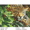 Сложность и количество цветов Зеленоглазый леопард Алмазная мозаика вышивка на подрамнике EF219