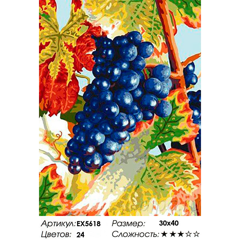 Раскраска винограда