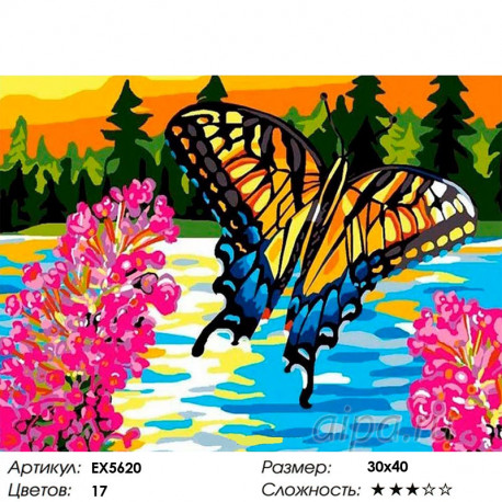 Сложность и количество цветов Бабочка Раскраска картина по номерам на холсте EX5620