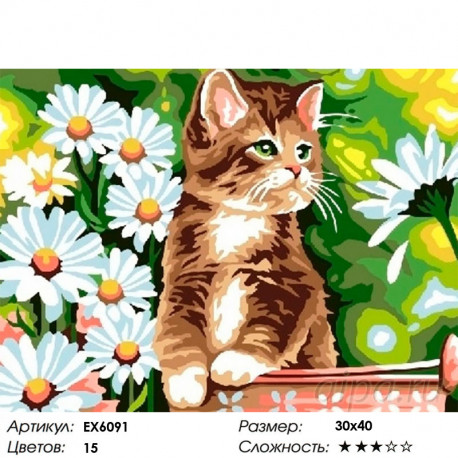 Сложность и количество цветов Котик в ромашках Раскраска картина по номерам на холсте EX6091