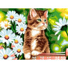  Котик в ромашках Раскраска картина по номерам на холсте EX6091