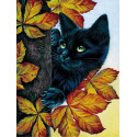 Чёрный кот Алмазная мозаика на подрамнике